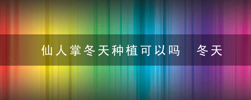 仙人掌冬天种植可以吗 冬天是否可以种植仙人掌